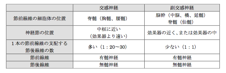 解説画像